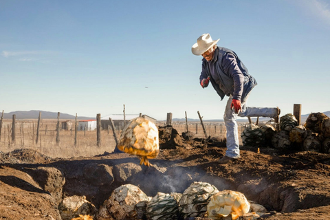 Cardenxe Sotol de Desierto